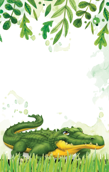 Alligator