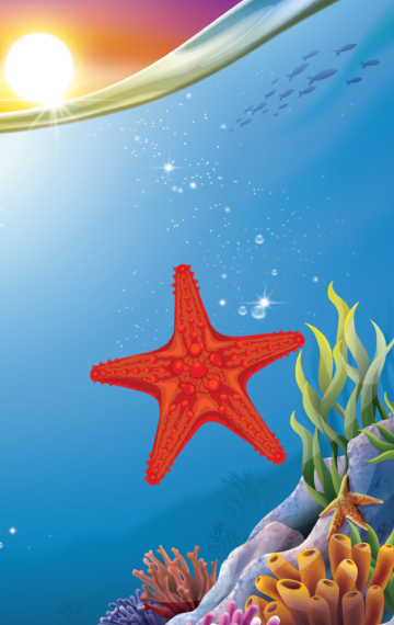 Starfish
