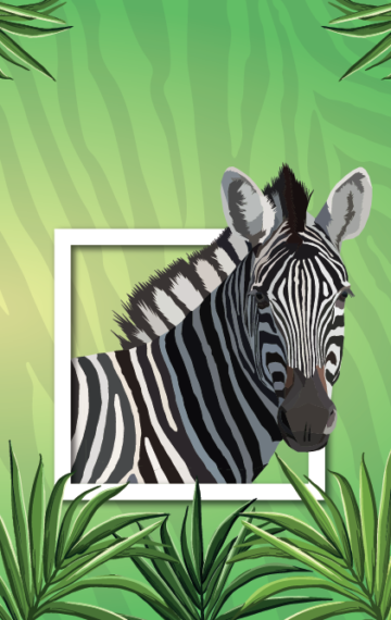 Zebra